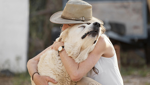 https://www.lostpawses.org/wp-content/uploads/2025/03/who-we-3.jpg